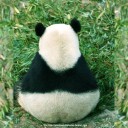 สมาชิกหมายเลข 2474696