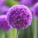 สมาชิกหมายเลข 820628