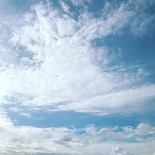 สมาชิกหมายเลข 1160189