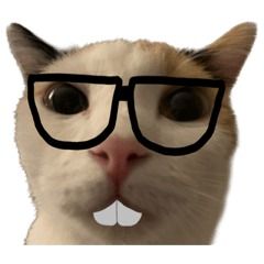 สมาชิกหมายเลข 8291622