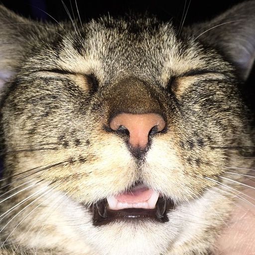 สมาชิกหมายเลข 9246451