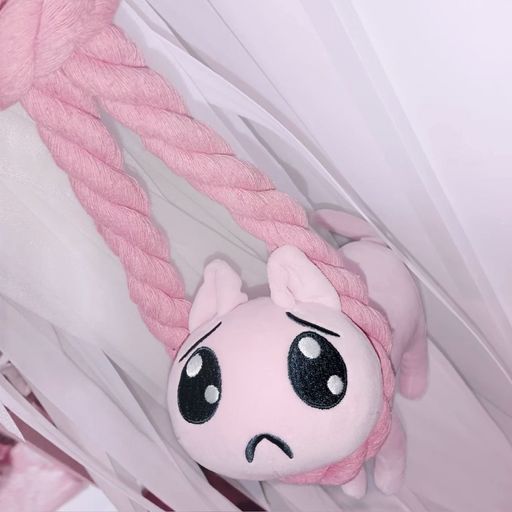 สมาชิกหมายเลข 9246615