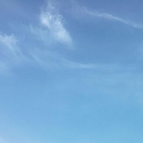 สมาชิกหมายเลข 2643222