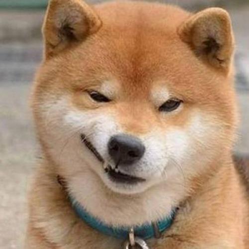 สมาชิกหมายเลข 4461246