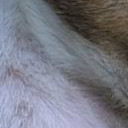 สมาชิกหมายเลข 4584279