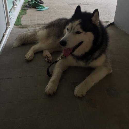 สมาชิกหมายเลข 2494422