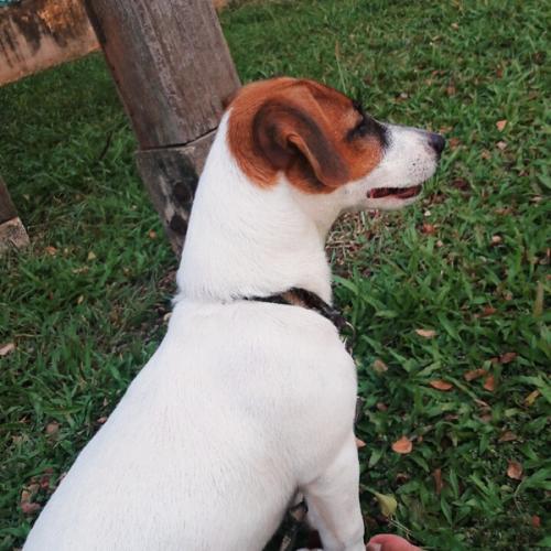 สมาชิกหมายเลข 4928776