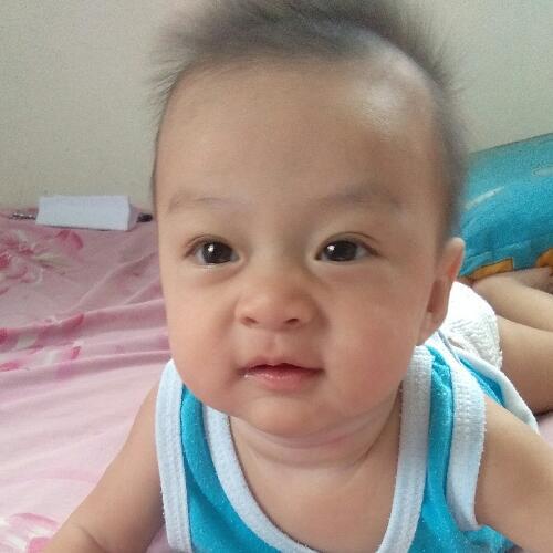 สมาชิกหมายเลข 5251745