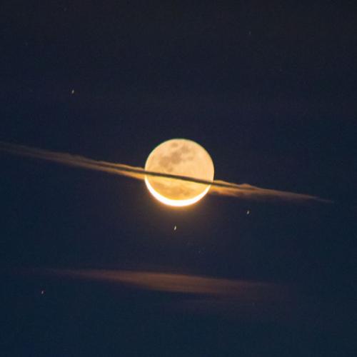 สมาชิกหมายเลข 1431056