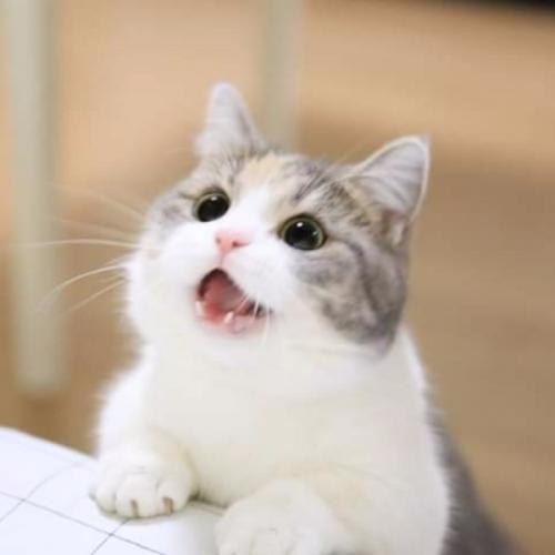 สมาชิกหมายเลข 5794917