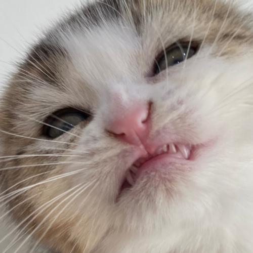 สมาชิกหมายเลข 1522566