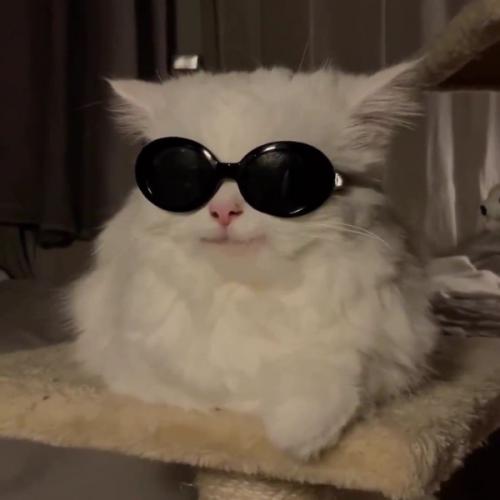 สมาชิกหมายเลข 7856034