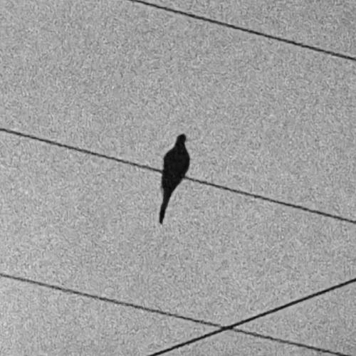 สมาชิกหมายเลข 7860037