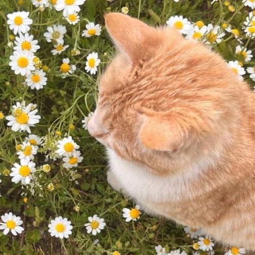 สมาชิกหมายเลข 7860992