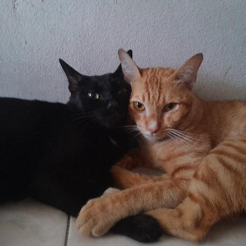 สมาชิกหมายเลข 5503447