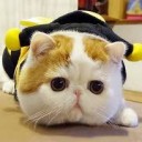 สมาชิกหมายเลข 3697597