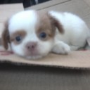 สมาชิกหมายเลข 3714931