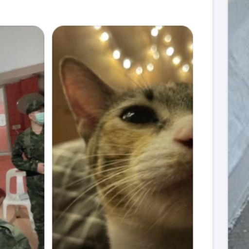 สมาชิกหมายเลข 2168216