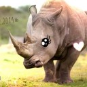 สมาชิกหมายเลข 2925398