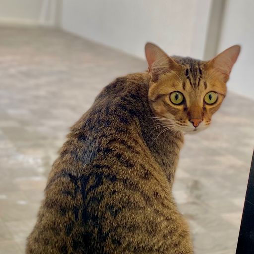 สมาชิกหมายเลข 9247991