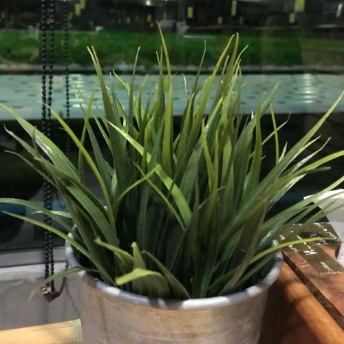 สมาชิกหมายเลข 4260236