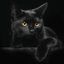 สมาชิกหมายเลข 4583761