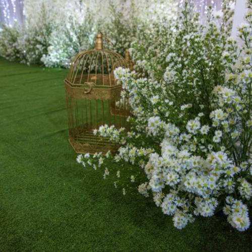 สมาชิกหมายเลข 3549370