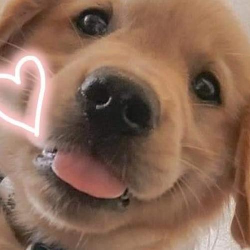 สมาชิกหมายเลข 3434323