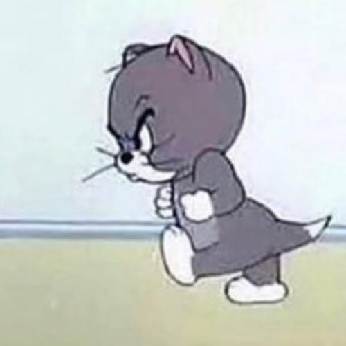 สมาชิกหมายเลข 4998310