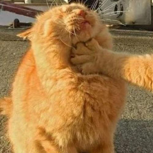 สมาชิกหมายเลข 5795914