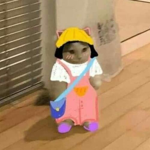 สมาชิกหมายเลข 6397856