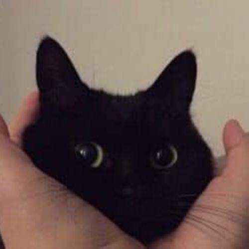 สมาชิกหมายเลข 7086237