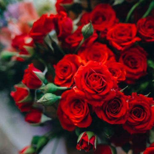 สมาชิกหมายเลข 7127253