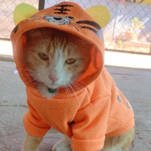 สมาชิกหมายเลข 6151877