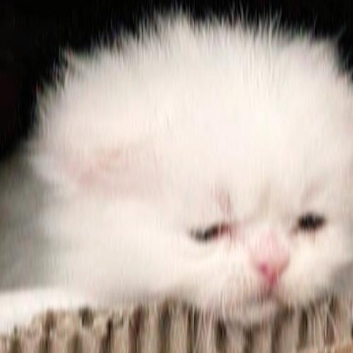 สมาชิกหมายเลข 8867025