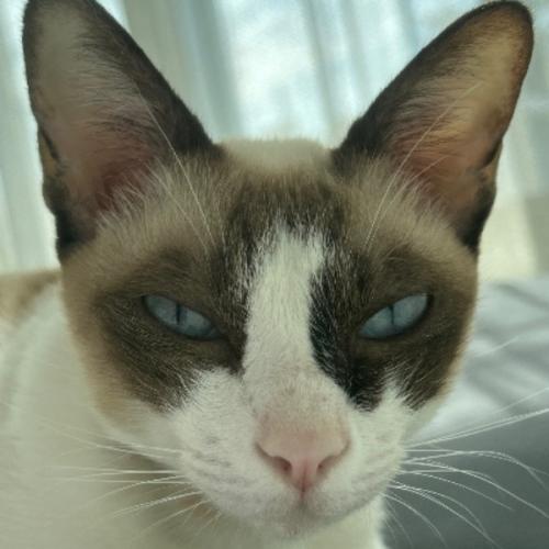 สมาชิกหมายเลข 8867619