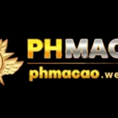 สมาชิกหมายเลข 8868672