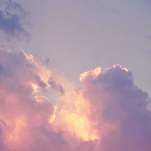 สมาชิกหมายเลข 9240573