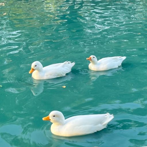 สมาชิกหมายเลข 9250532