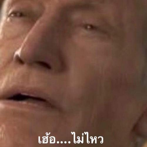 สมาชิกหมายเลข 4584733