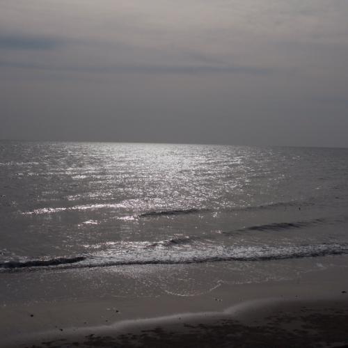 สมาชิกหมายเลข 4928163