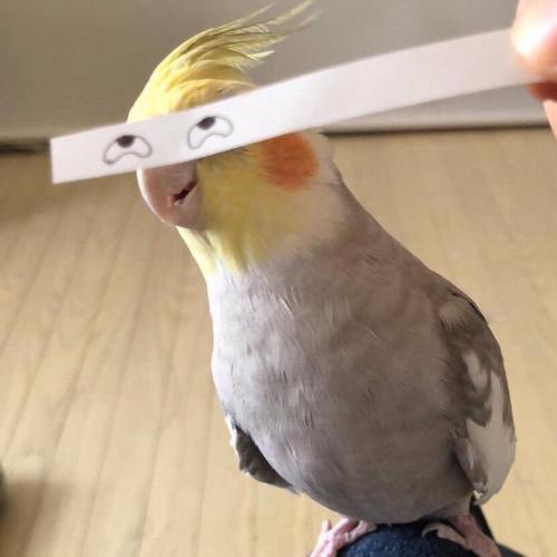 สมาชิกหมายเลข 5170643