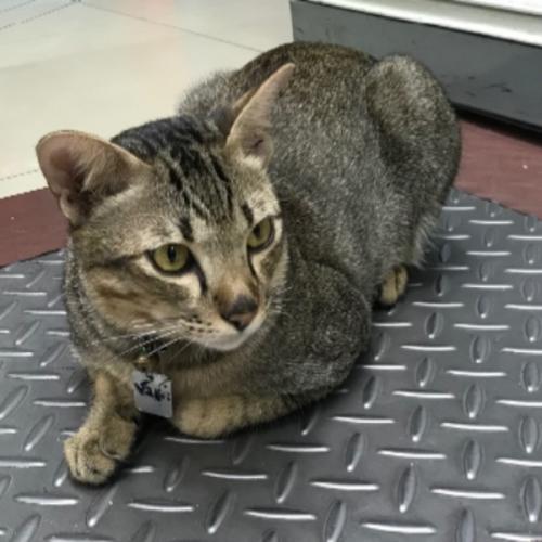 สมาชิกหมายเลข 1134041