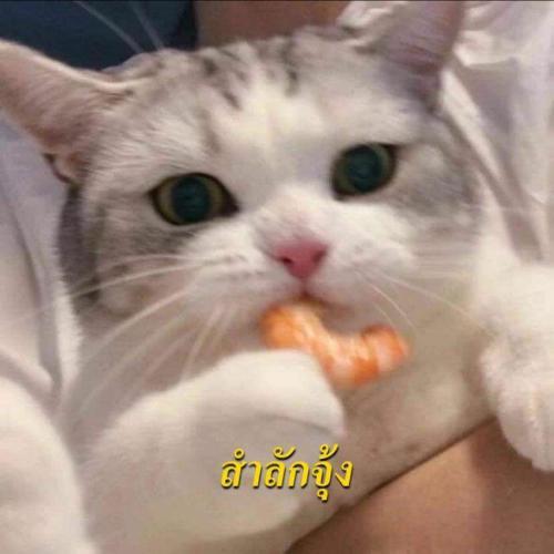 สมาชิกหมายเลข 5525181