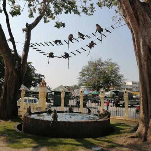 สมาชิกหมายเลข 5796720