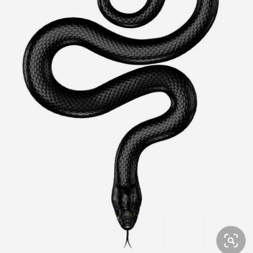 สมาชิกหมายเลข 4029240