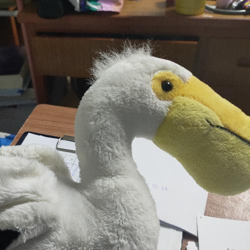 สมาชิกหมายเลข 6344352