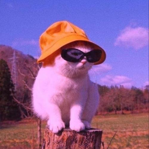 สมาชิกหมายเลข 6397941