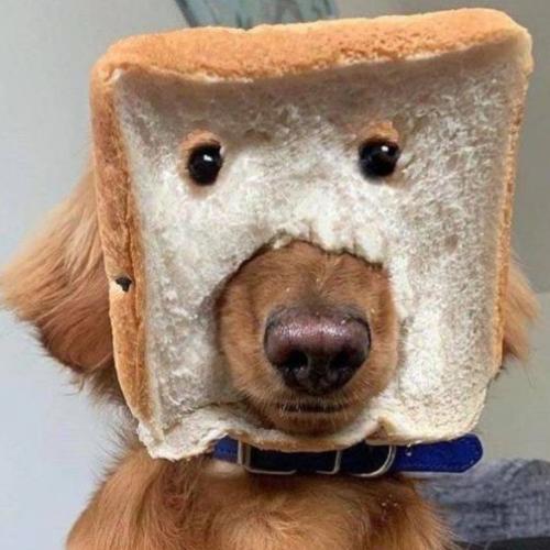 สมาชิกหมายเลข 6398046