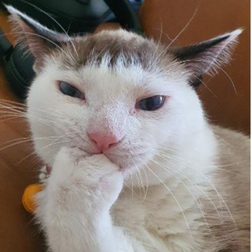 สมาชิกหมายเลข 2144629